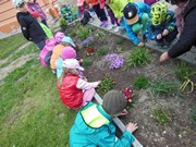 Pečujeme o květinový záhonek